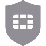 Fortinet icon